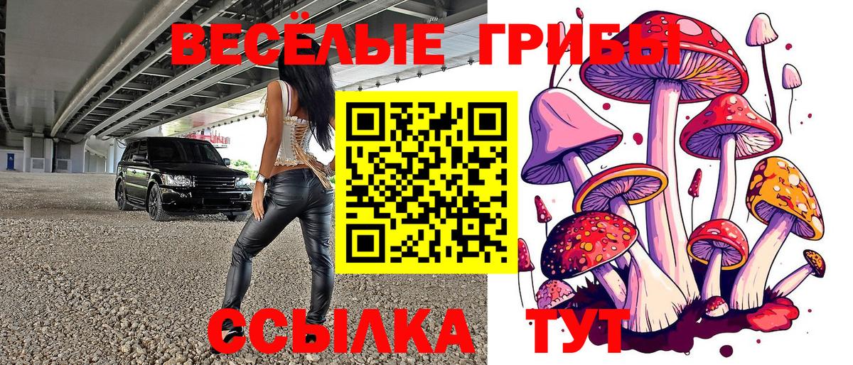 Галлюциногенные грибы ЛСД Снежинск