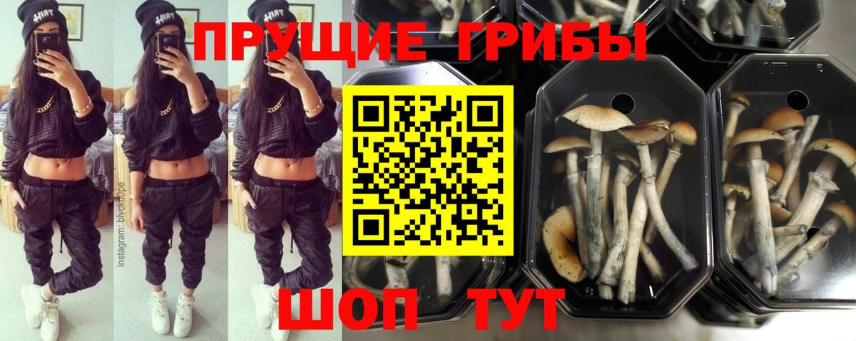 Псилоцибиновые грибы Magic Shrooms  Вход с VPN  Снежинск 